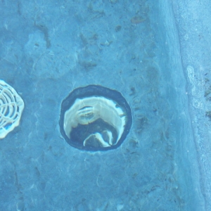 Photo of California Cleanin' Pools