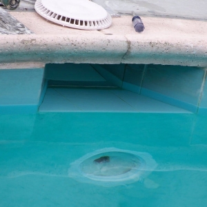 Photo of California Cleanin' Pools