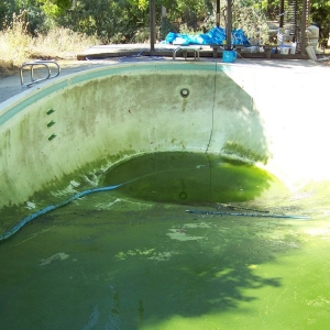 Photo of California Cleanin' Pools