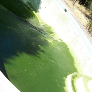 Photo of California Cleanin' Pools