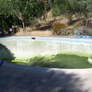 Photo of California Cleanin' Pools