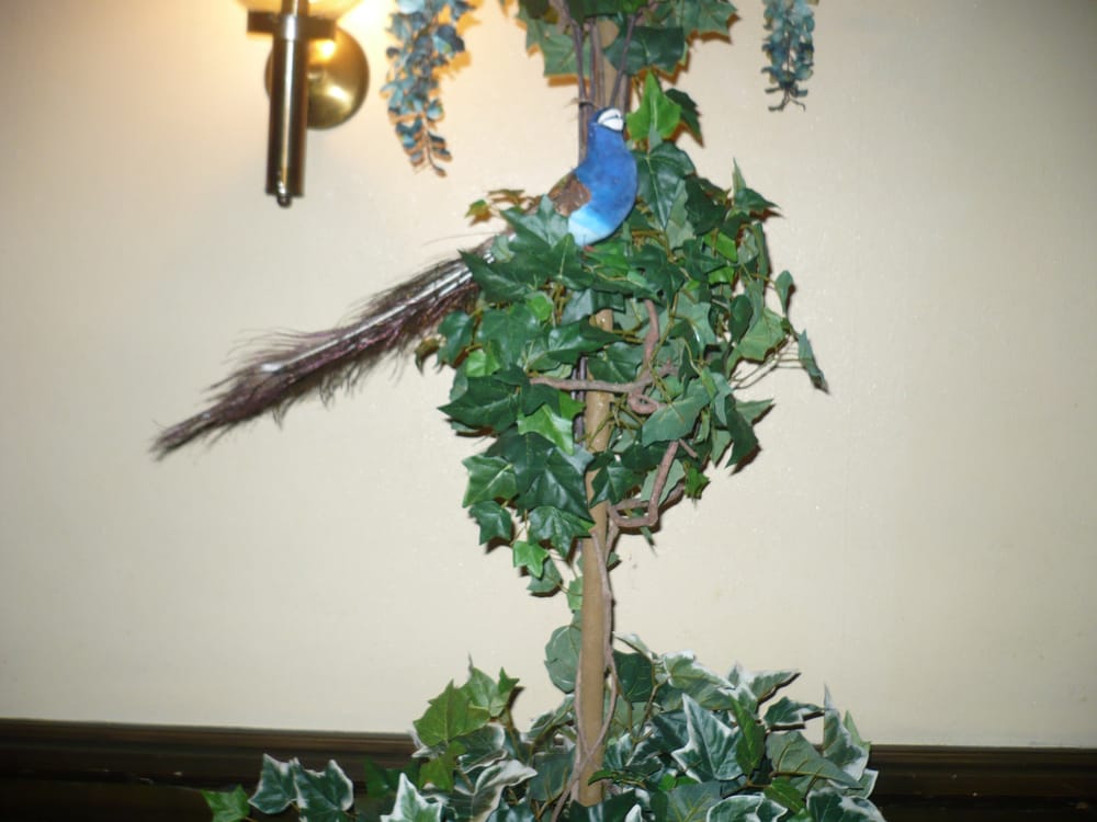 Photo of A English Design