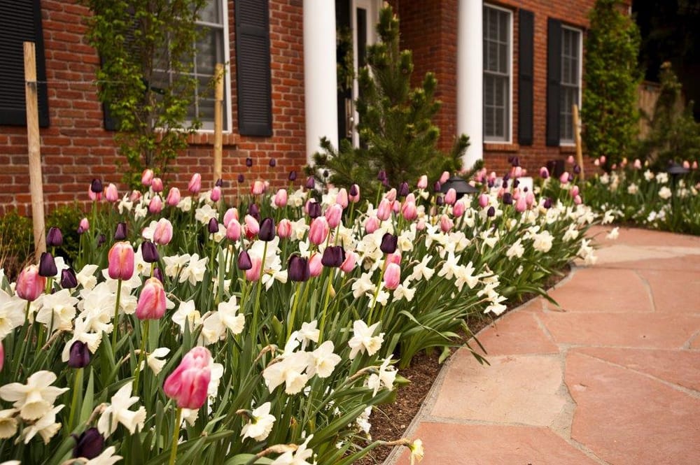 Photo of Pioneer Landscape Centers