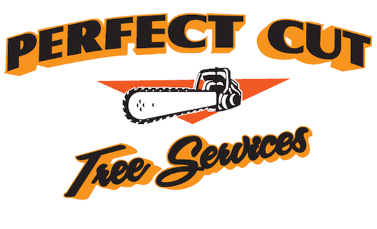 Photo of Perfect Cut Tree Service