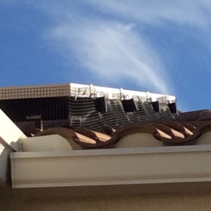 Photo of Solar Restore