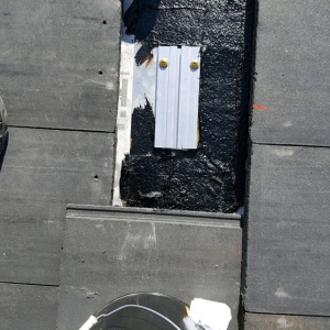 Photo of Solar Restore