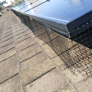 Photo of Solar Restore