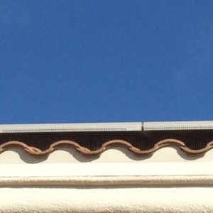 Photo of Solar Restore