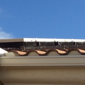 Photo of Solar Restore