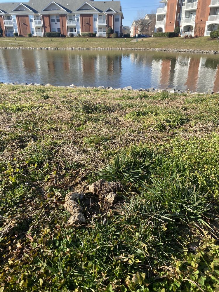 Photo of Falcon Creek Luxury Apartments
