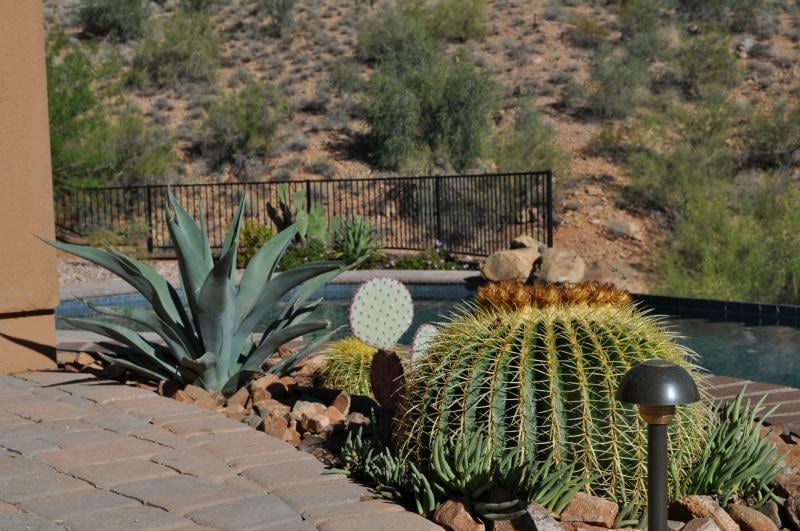 Photo of Giardinello Landscape & Design