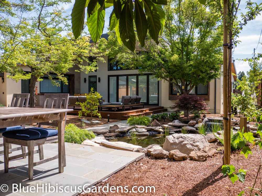 Photo of Blue Hibiscus Gardens
