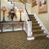 Photo of Bella Carpet & Drapery Cleaning