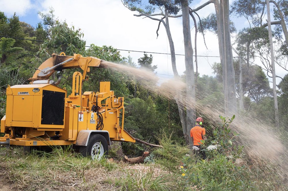 Photo of Erick's Tree Removal and Garden Services