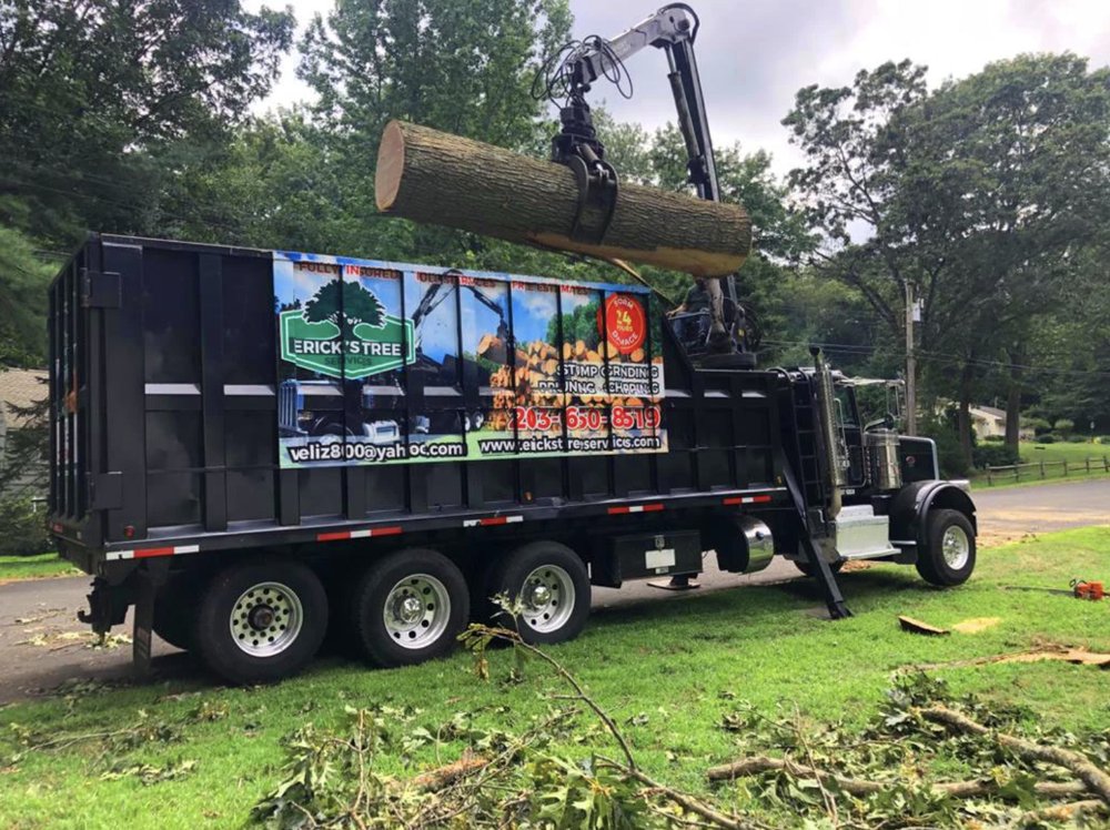Photo of Erick's Tree Removal and Garden Services