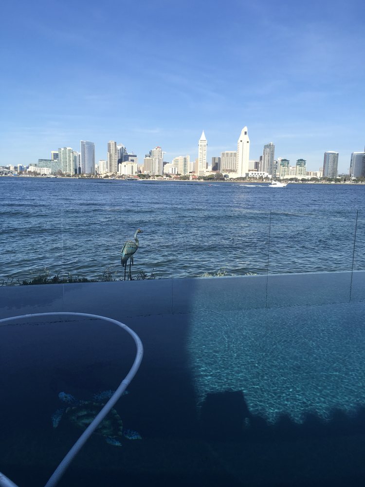 Photo of Freestyle Pools
