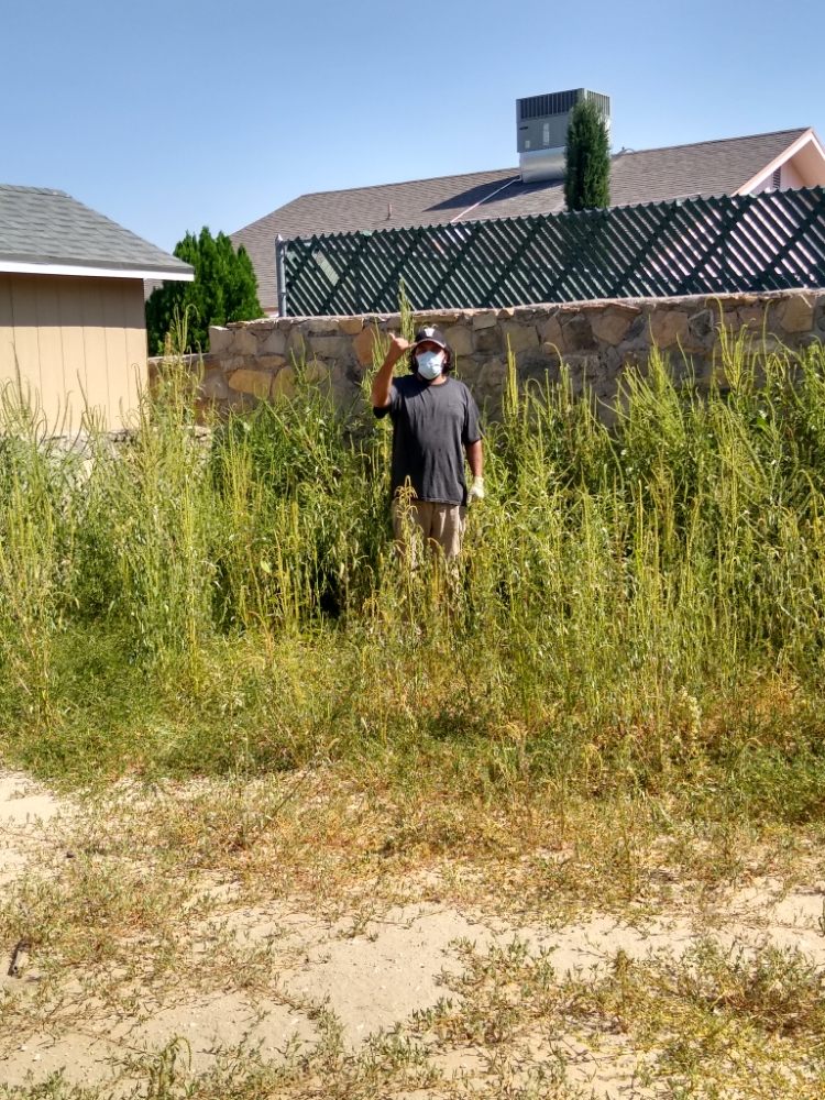Photo of El Paso Cleaning Services