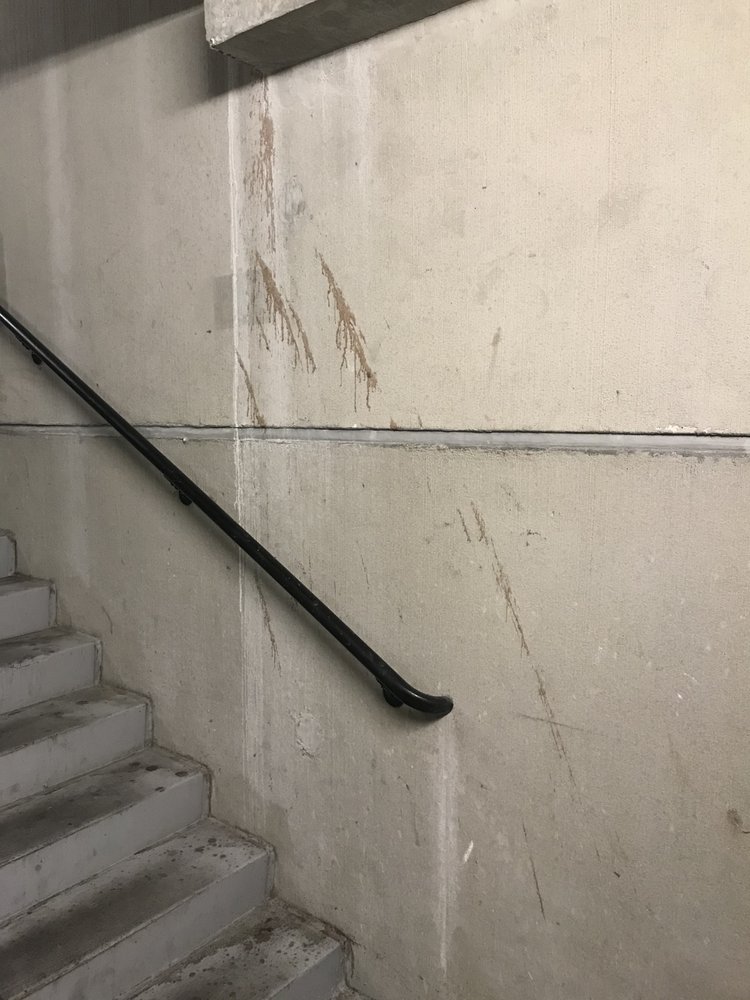 Photo of The Standard at Gainesville