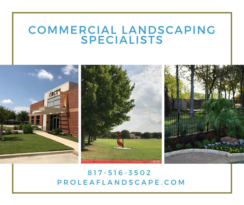 Photo of Proleaf Commercial Landscape