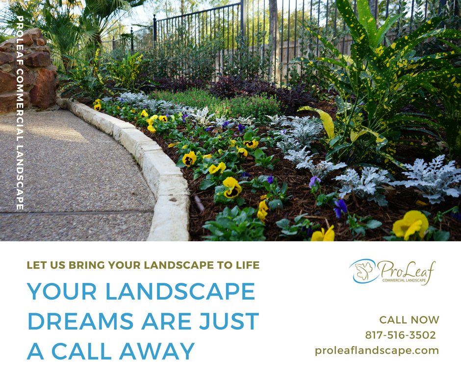Photo of Proleaf Commercial Landscape