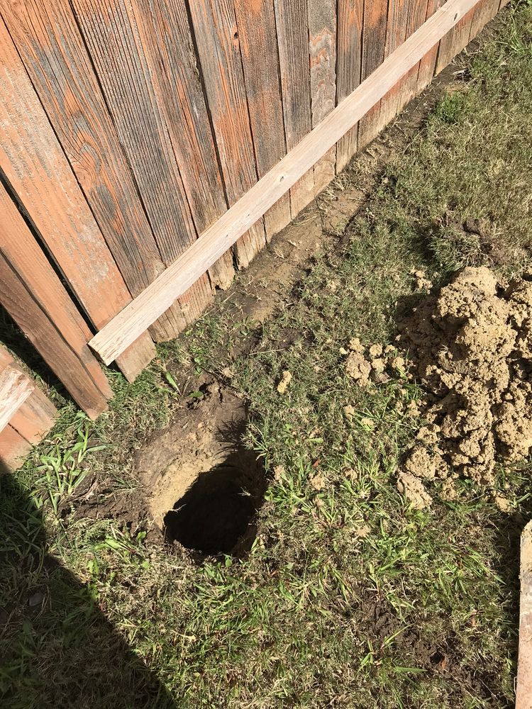 Photo of Blooming Garden Home Maintenance
