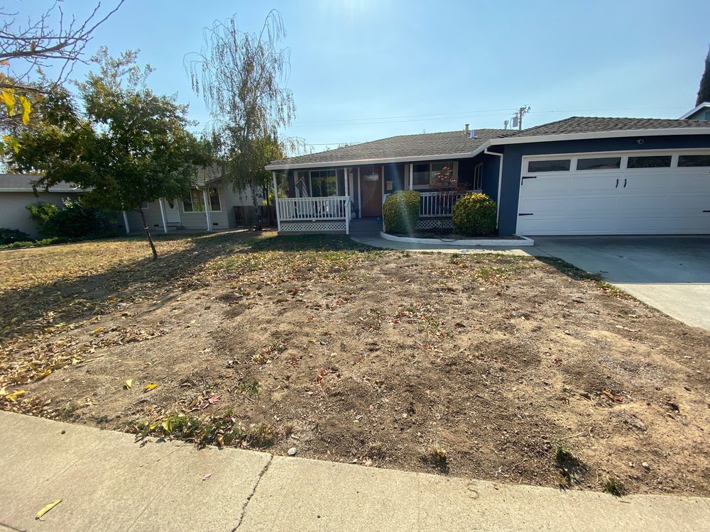 Photo of Capital Lawn Experts