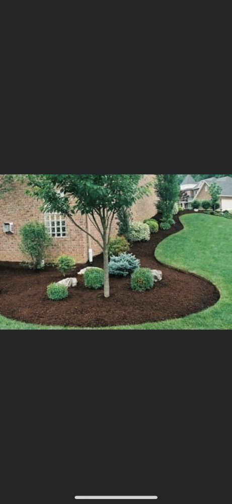 Photo of Capital Lawn Experts