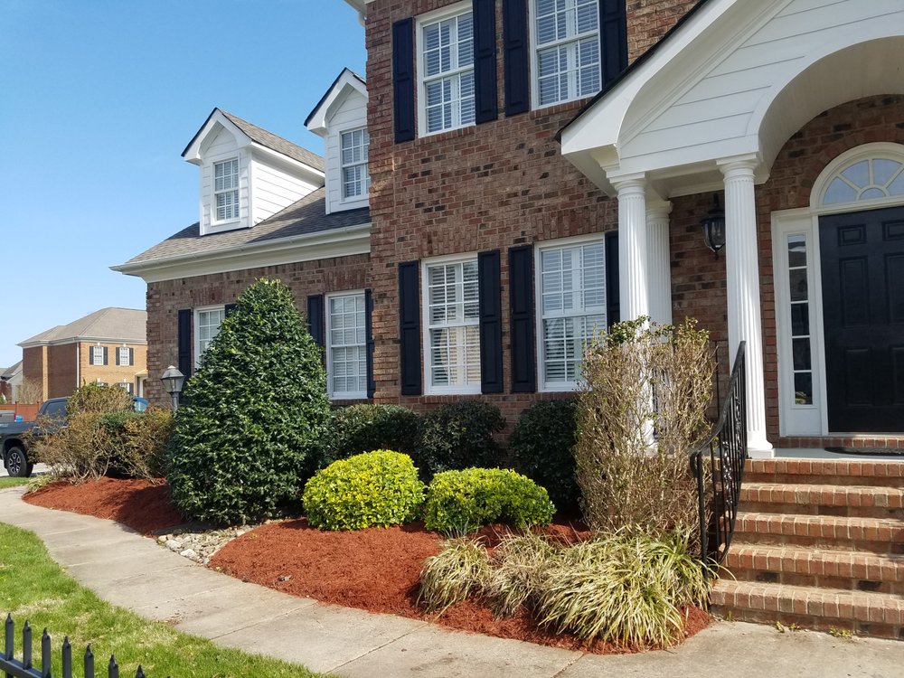 Photo of Lawn Visions