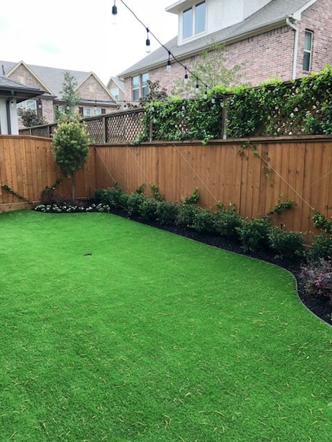 Photo of Texas Turf