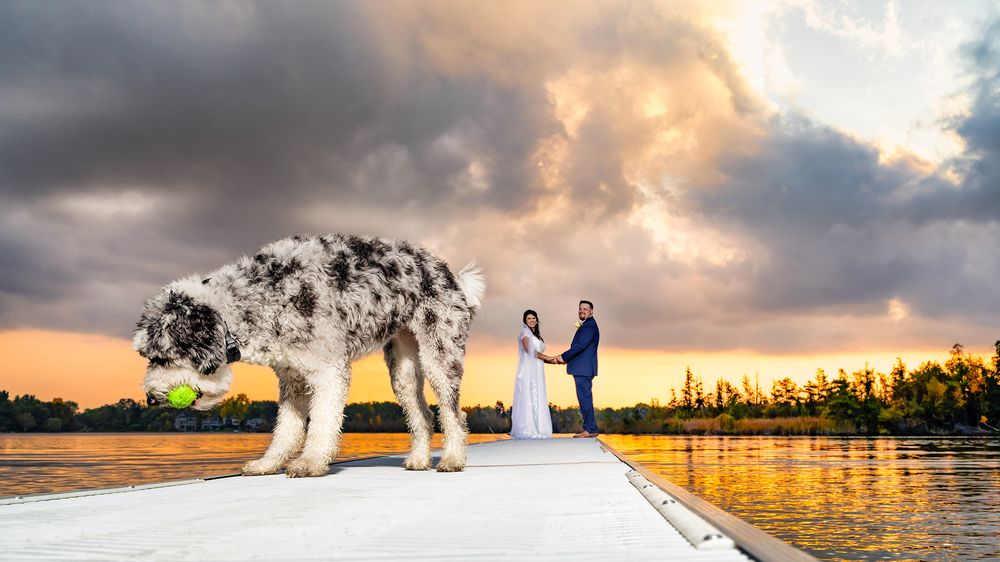 Photo of Wally Mikhu Photography