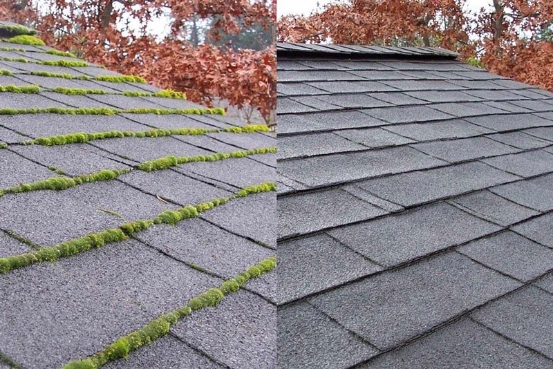 Photo of Premium Solar Cleaning