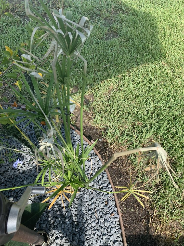 Photo of Precision Landscape Services Inc