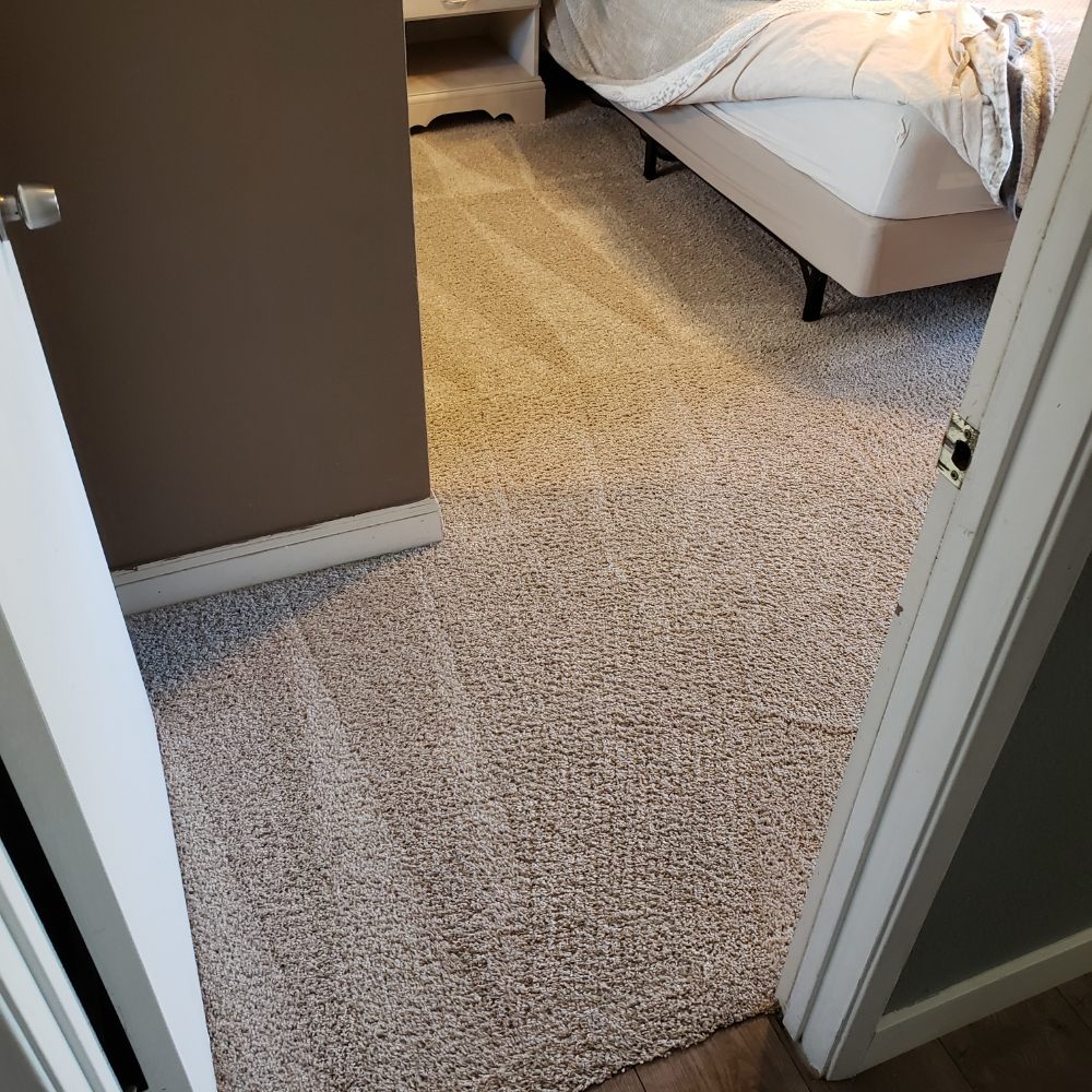 Photo of Huge Discount Carpet Care
