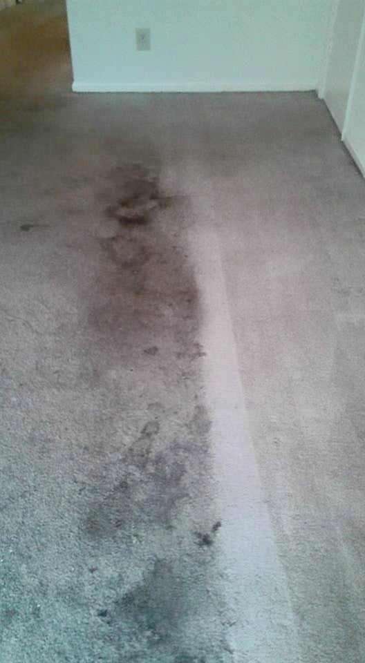 Photo of Jimmy G & The Floor Techs