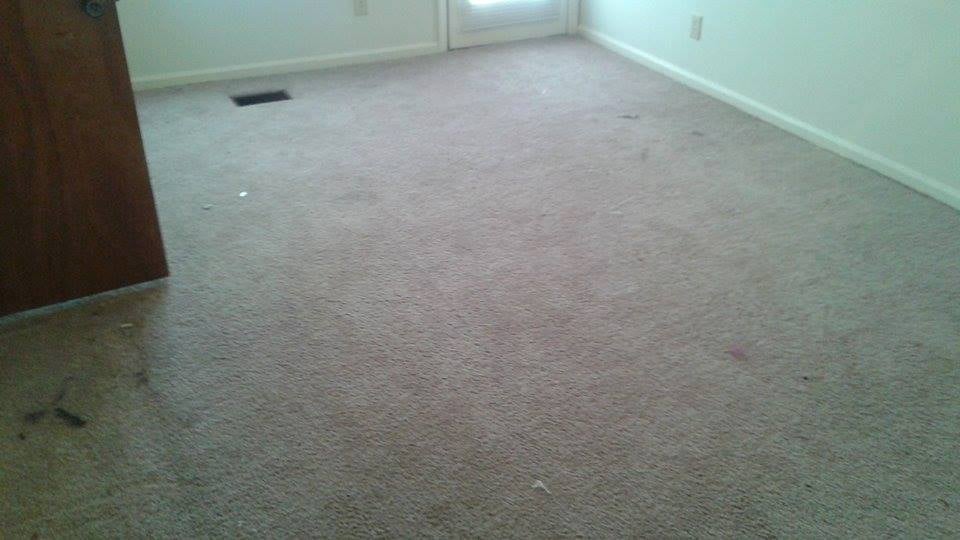 Photo of Jimmy G & The Floor Techs