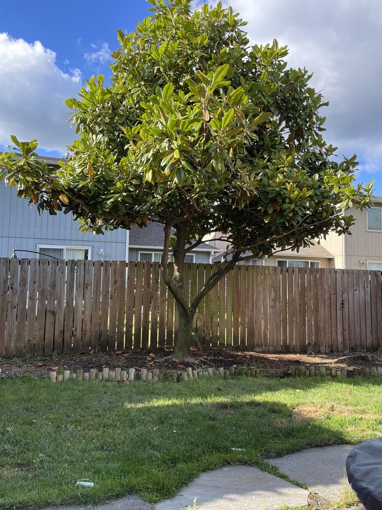 Photo of Roberts Lawn & Home Care