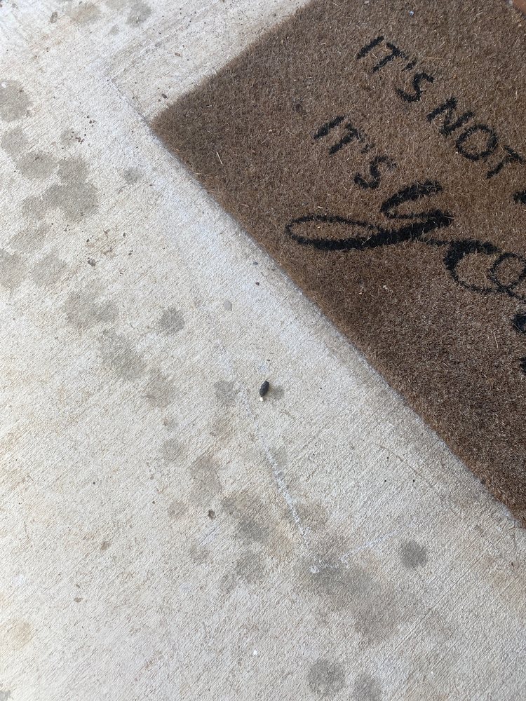 Photo of M&M Pest and Wildlife