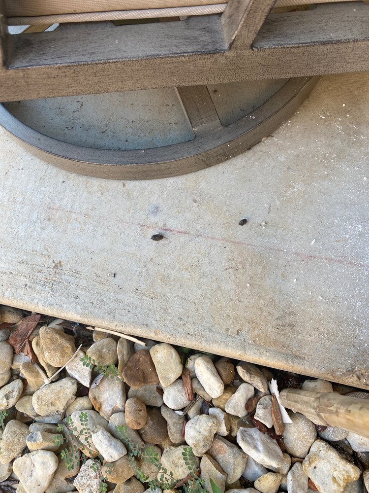 Photo of M&M Pest and Wildlife