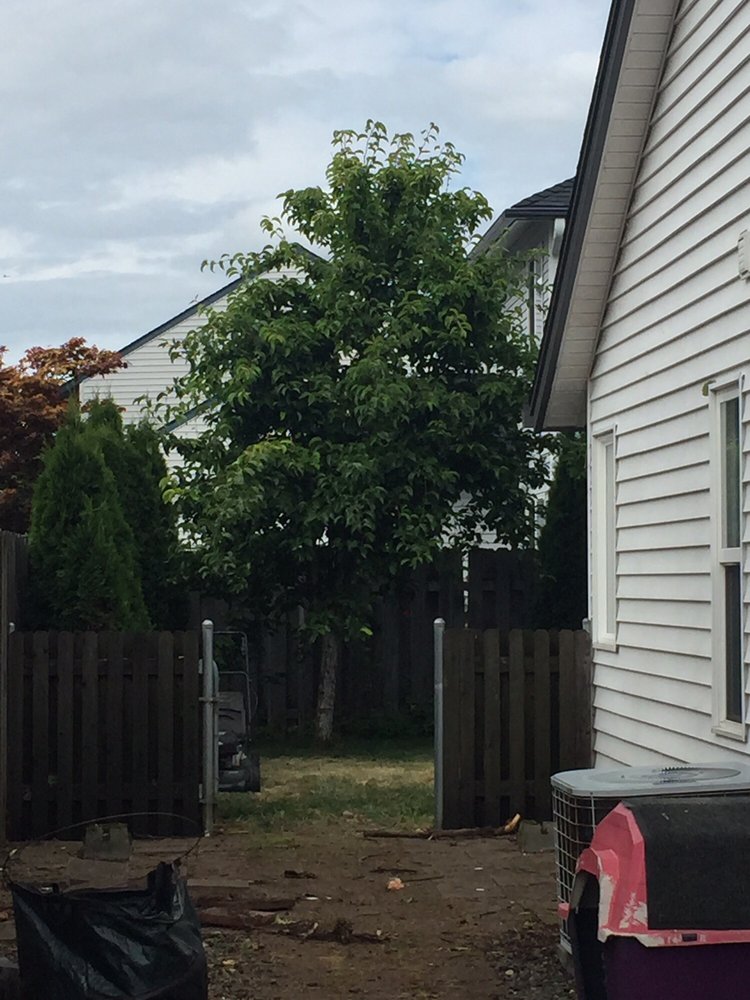 Photo of M & M Landscaping