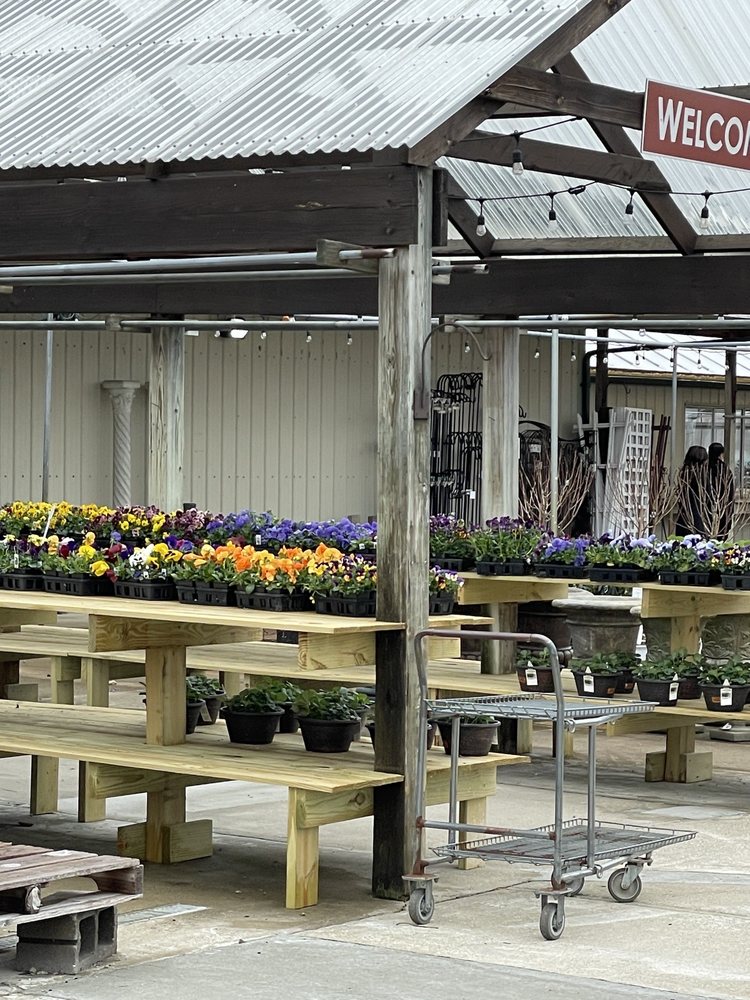Photo of Dammann's Garden Company