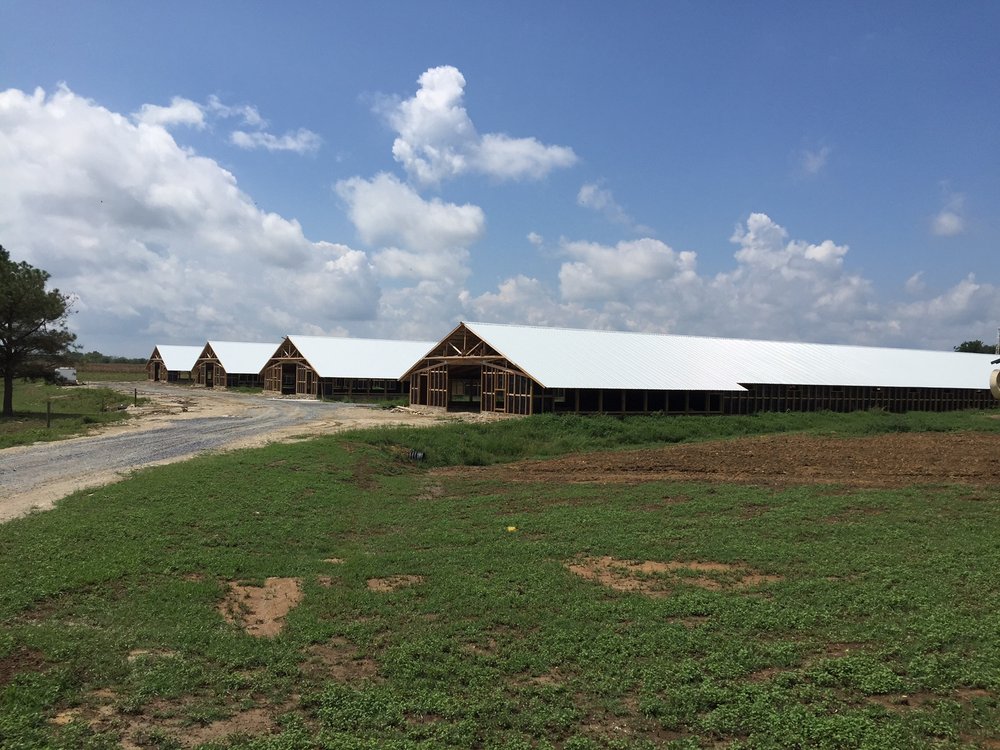 Photo of Metal Roofing Systems