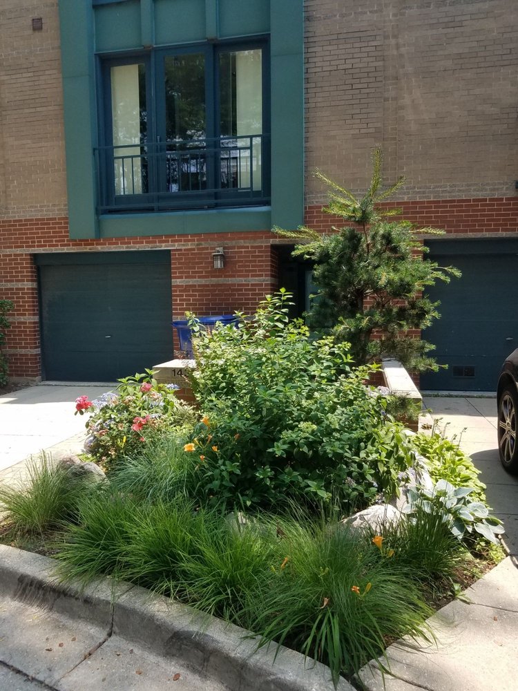 Photo of MetroScapesChicago