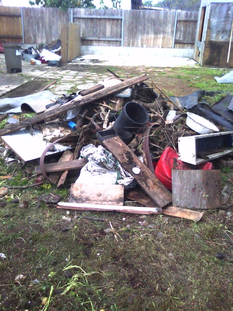 Photo of Trash Removal For Less