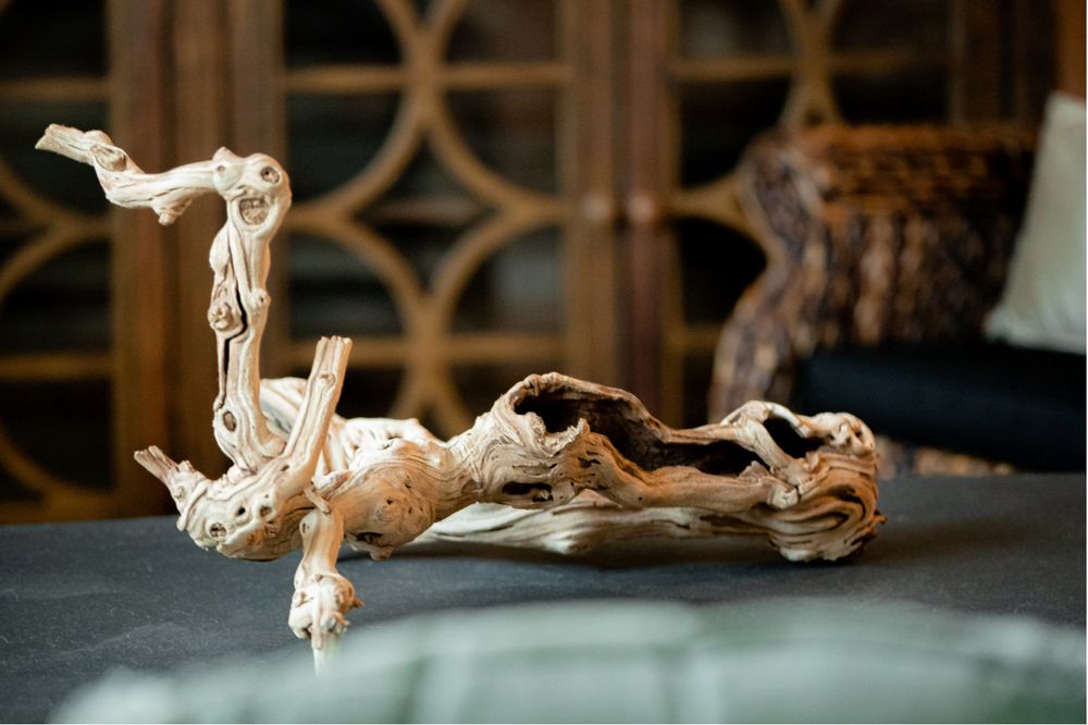 Photo of Design on a Dime Interiors