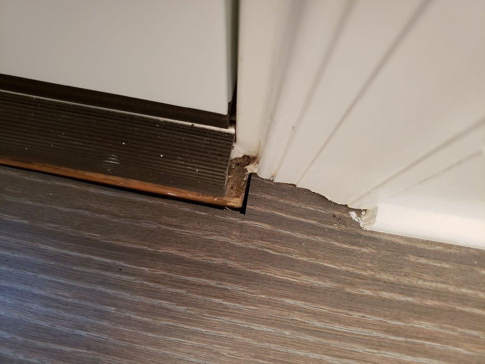 Photo of Royal Oaks Flooring