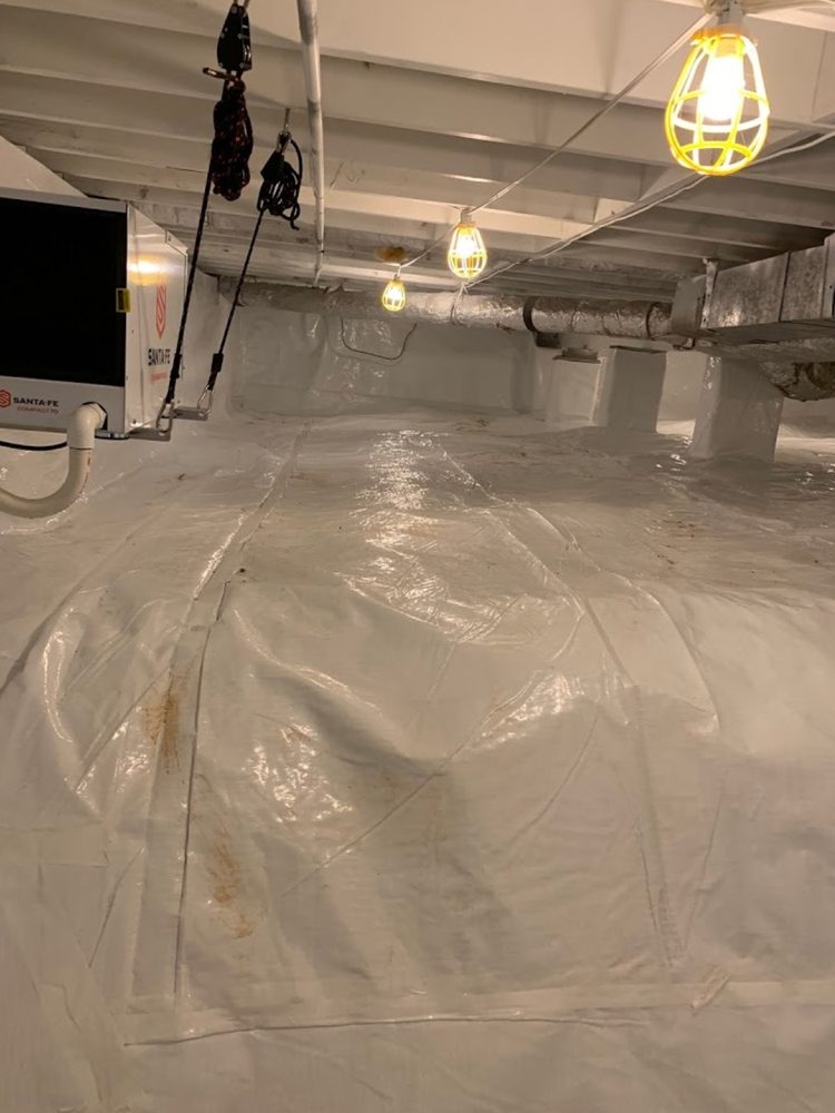 Photo of Zen Dry Restoration