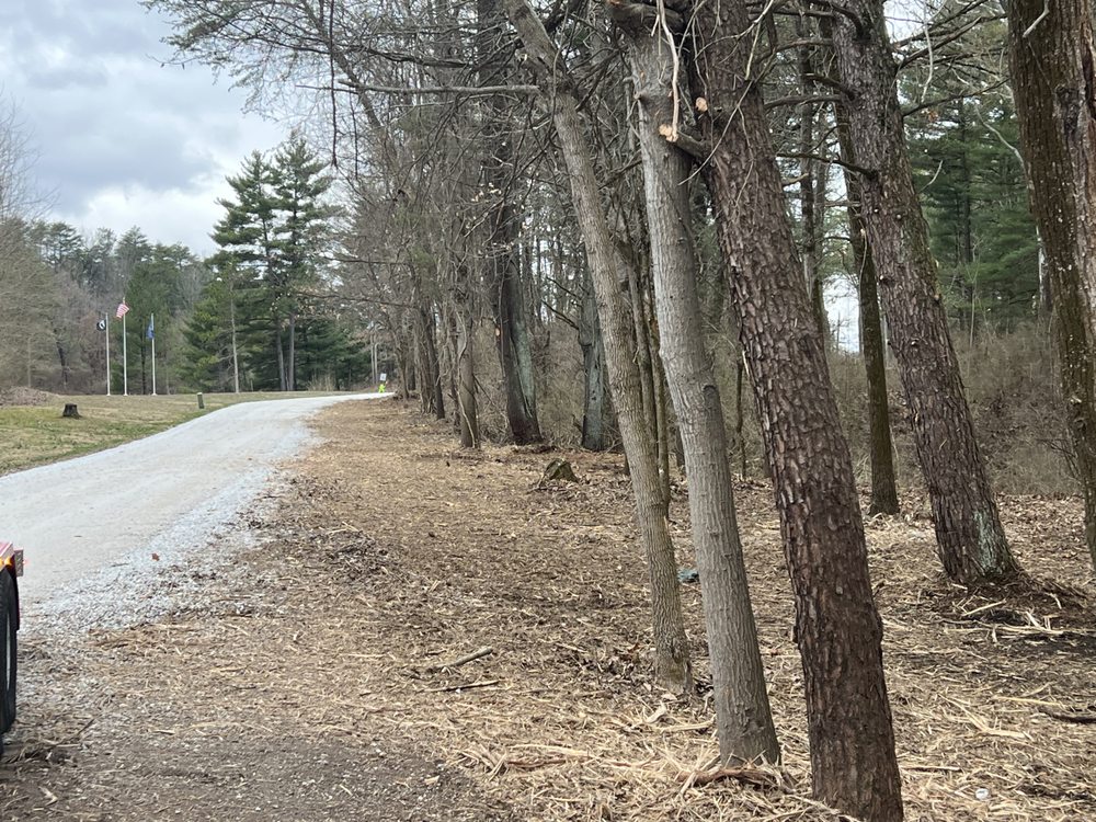 Photo of Marlow Brothers Land Clearing