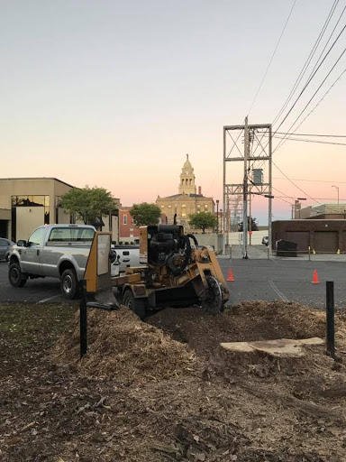 Photo of Neidhart's Stump Removal