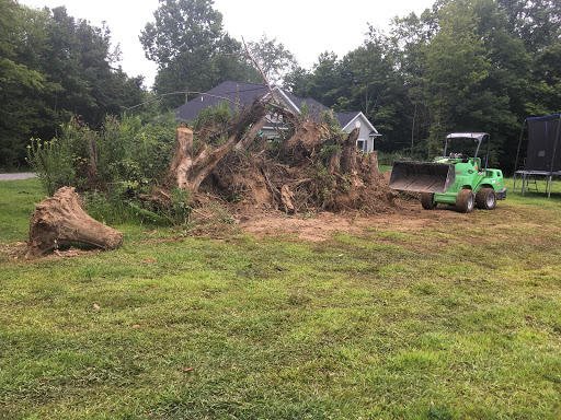 Photo of Neidhart's Stump Removal