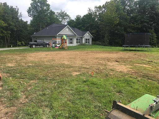 Photo of Neidhart's Stump Removal